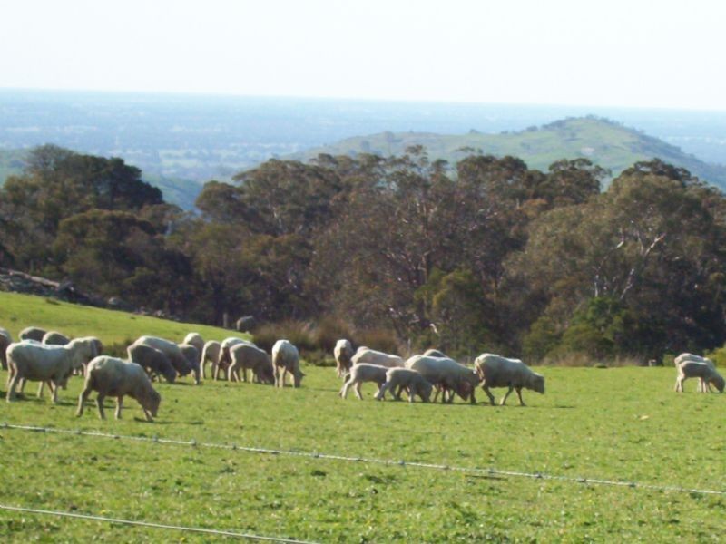 87 Kelvin View Road, Euroa VIC 3666