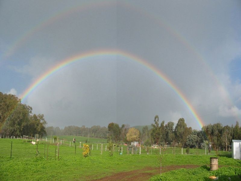 975 Wattlecreek Road, Benalla VIC 3672