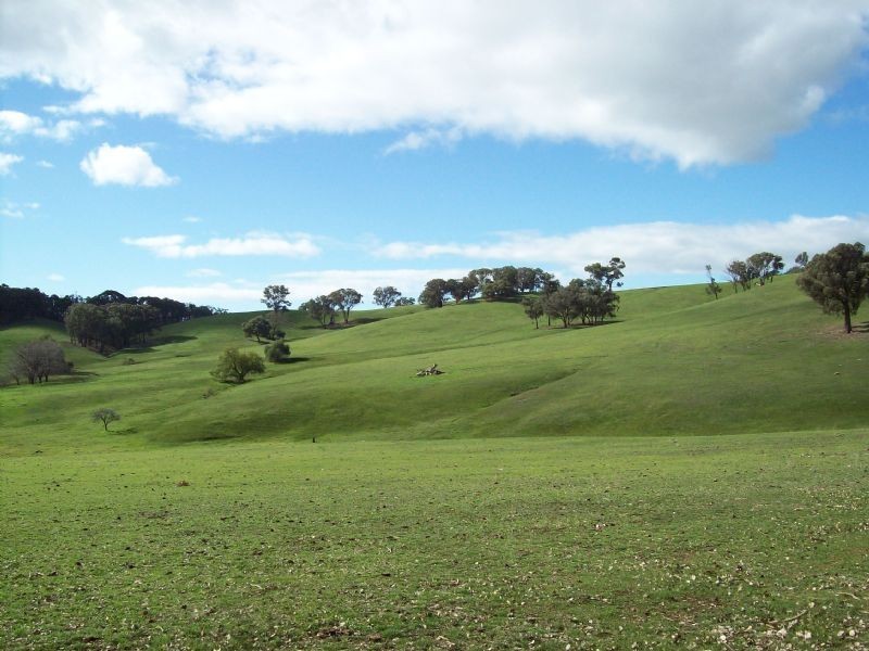 260 Bostock Road, Benalla VIC 3672