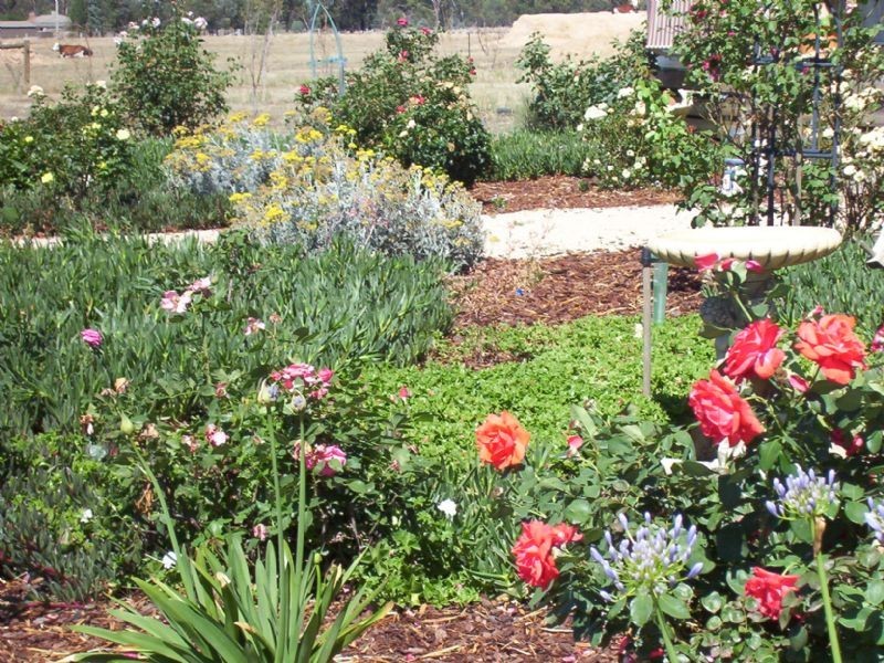 560 Sydney Raod, Benalla VIC 3672