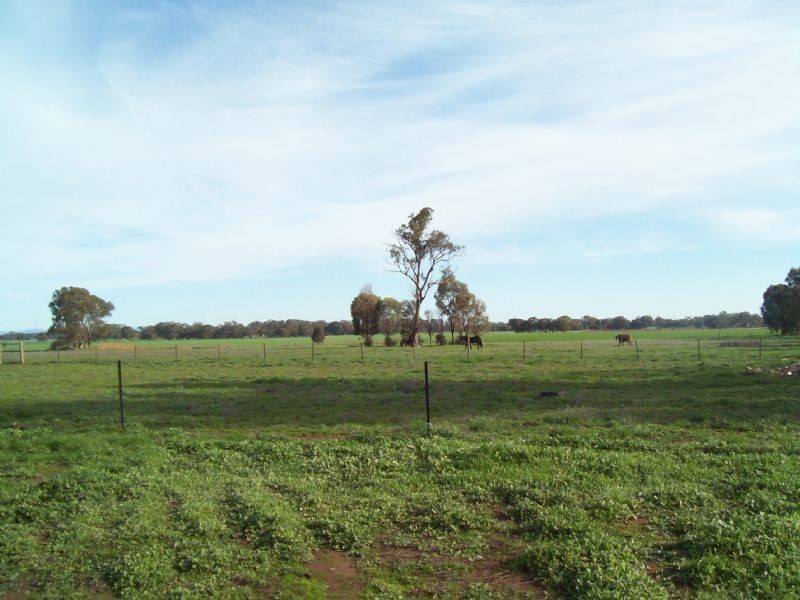 10 Neale Road, Goorambat VIC 3725