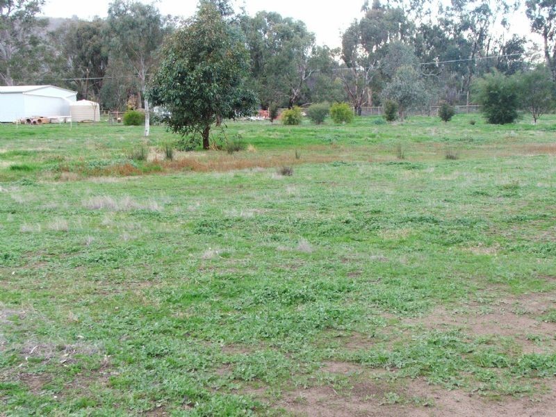 11 Saxon Street, Euroa VIC 3666