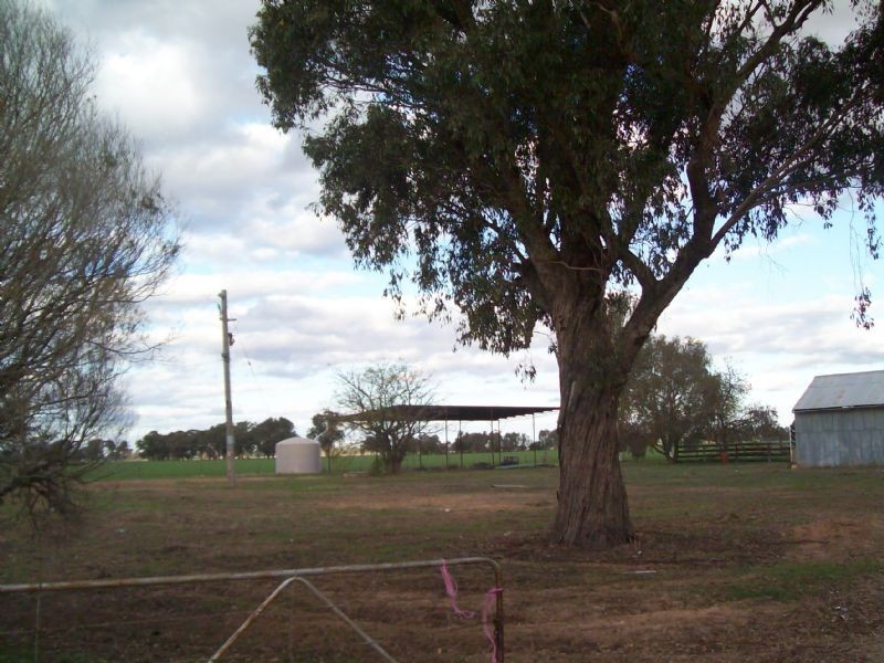 183 Waggarandal Road, Yundool VIC 3727