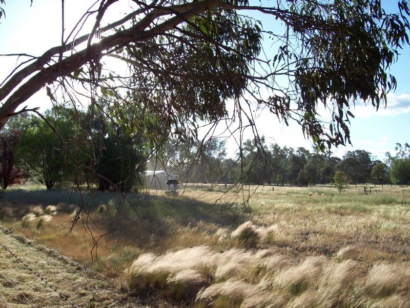 Lot 12  Moore St, Baddaginnie VIC 3670