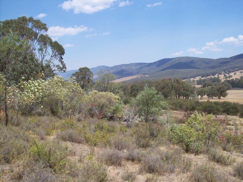 Lot 20a  Tatong/Tolmie Road, Tatong VIC 3673