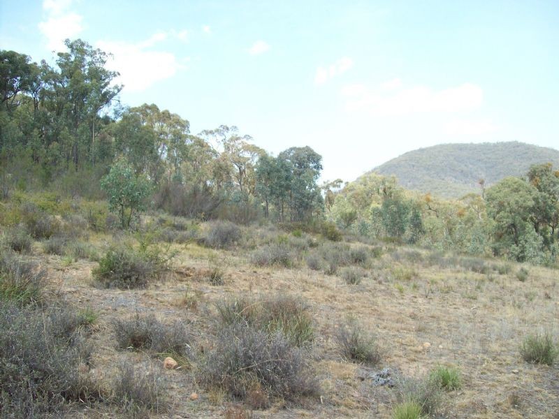 Lot 20a  Tatong/Tolmie Road, Tatong VIC 3673