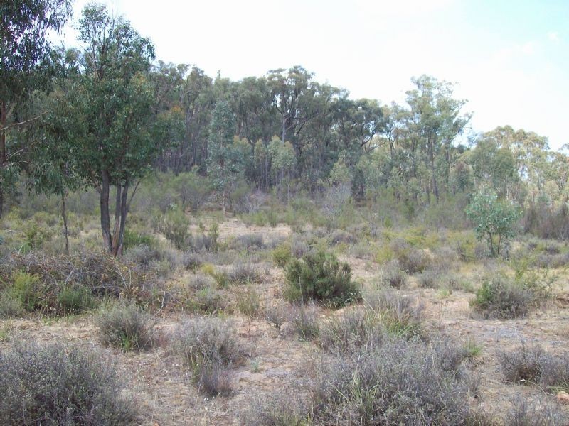 Lot 20a  Tatong/Tolmie Road, Tatong VIC 3673