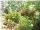 795 Tatong/ Tolmie Road, Tatong VIC 3673