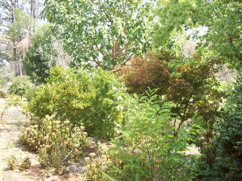795 Tatong/ Tolmie Road, Tatong VIC 3673