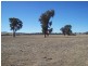 1 Lake Mokoan Road, Benalla VIC 3672