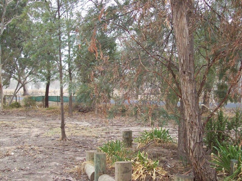 73 Baddaginnie/Warrenbayne Road, Baddaginnie VIC 3670