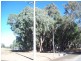 9 Lots Cavalli Acre Estate, Benalla VIC 3672