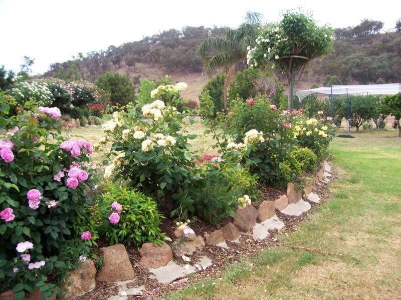 72 Bowcher Road, Benalla VIC 3672