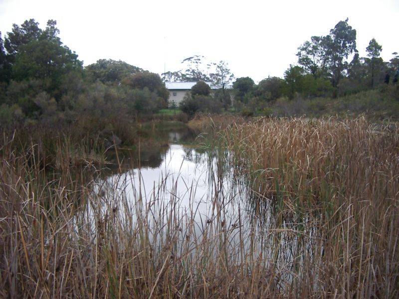 29 Mangans Road, Buninyong VIC 3357