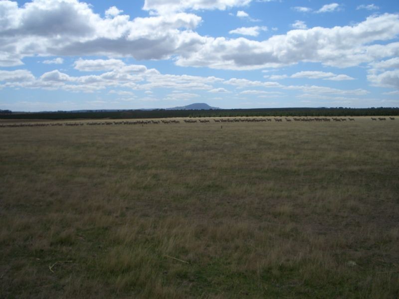 5321 Midland Highway, Elaine VIC 3334