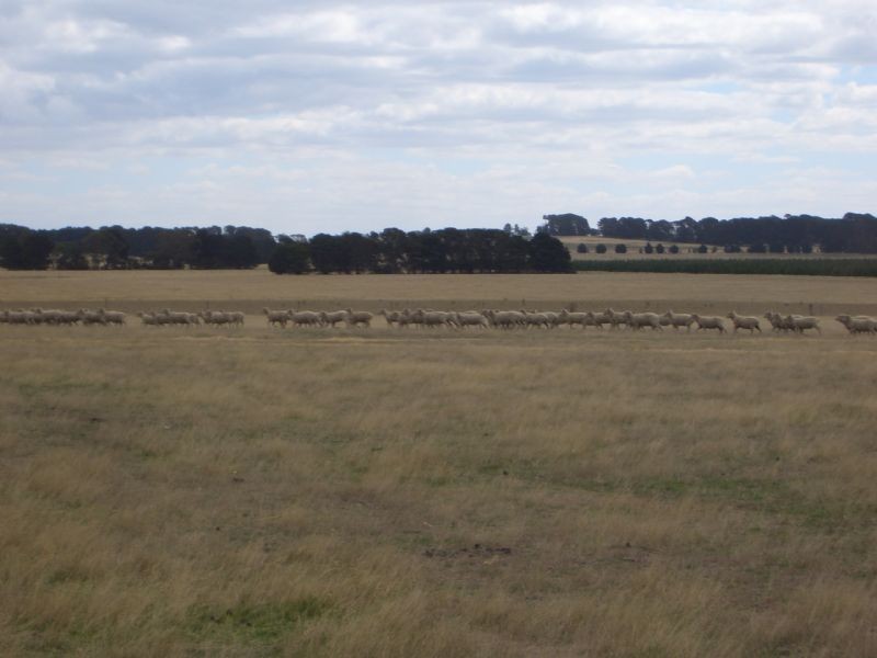 5321 Midland Highway, Elaine VIC 3334