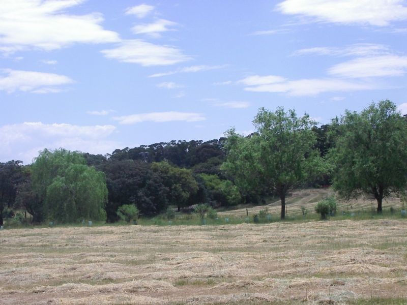 Lot 2 White Swan Road, Invermay VIC 3352