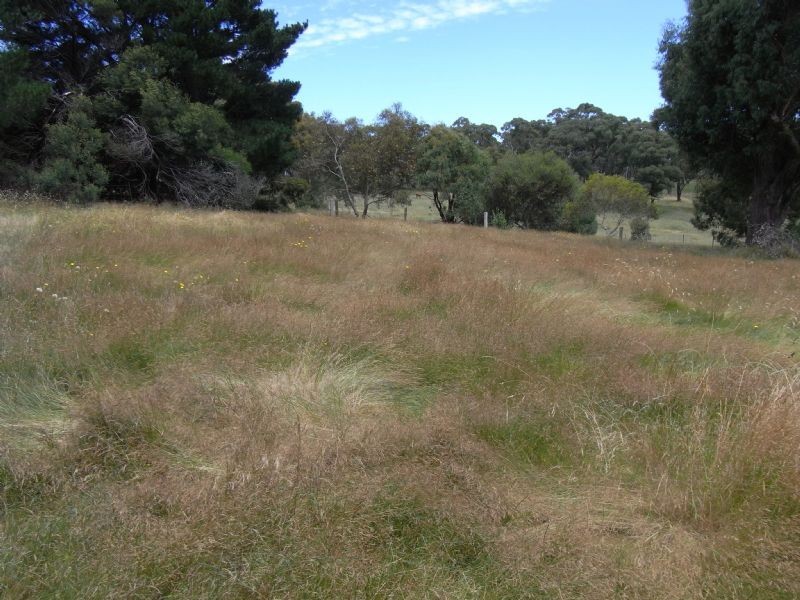 24 Acacia Street, Invermay VIC 3352