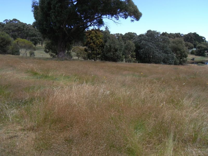 24 Acacia Street, Invermay VIC 3352