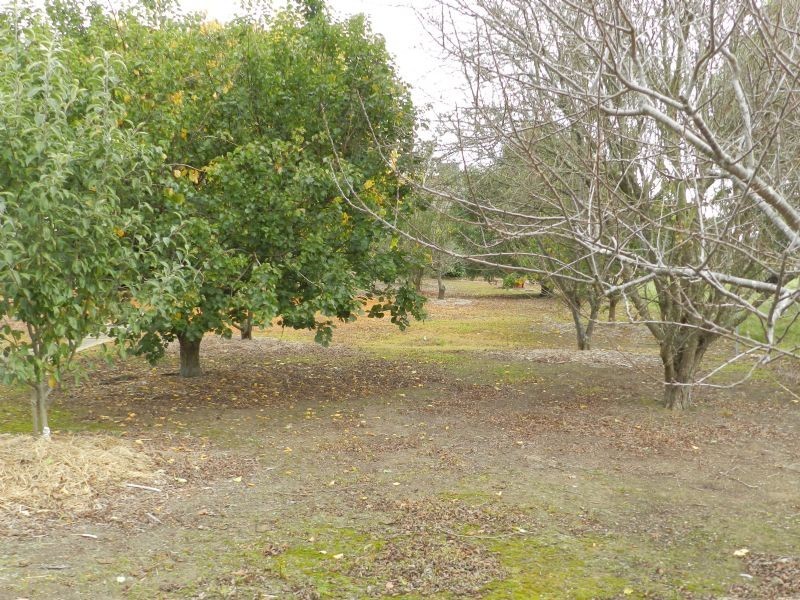 136 Sunraysia Drive, Miners Rest VIC 3352