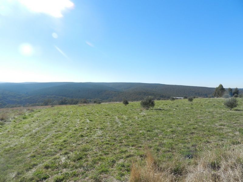 8080 Mt Mercer Road, Durham Lead VIC 3352