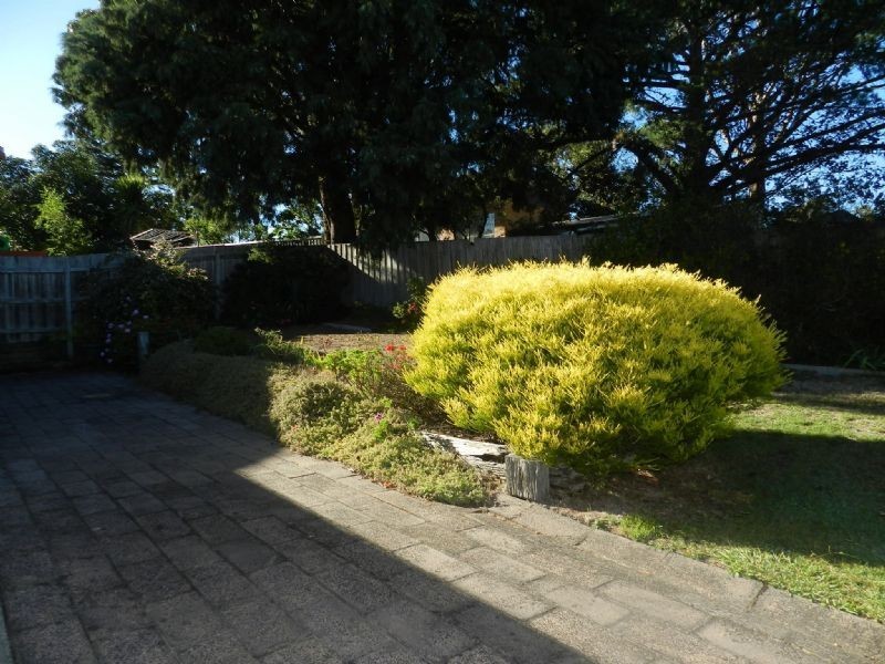 3/1A Jones Ave, Mount Clear VIC 3350