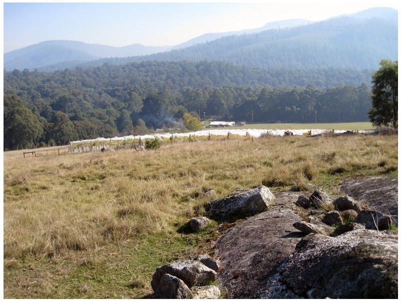 3430 Yarra Junction – Noojee Road, Noojee VIC 3833