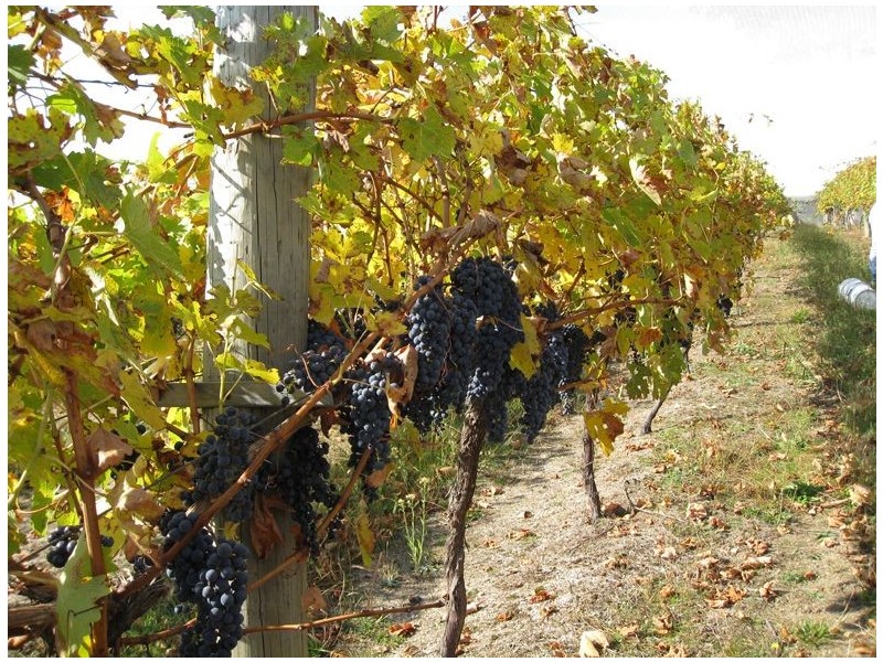 3430 Yarra Junction – Noojee Road, Noojee VIC 3833