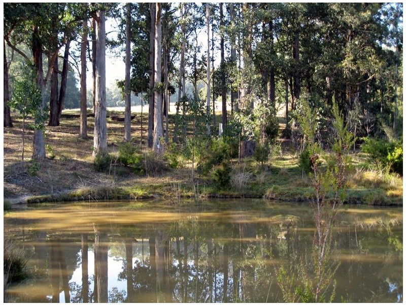 3430 Yarra Junction – Noojee Road, Noojee VIC 3833