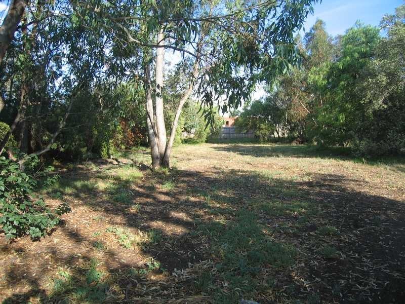 12 Powlett Street, Sunbury VIC 3429