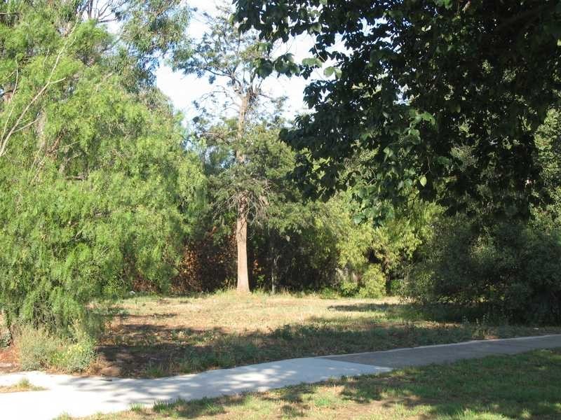 12 Powlett Street, Sunbury VIC 3429