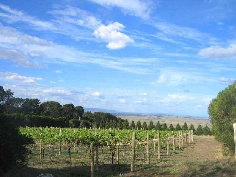 182 Fenton Hill Road, Clarkefield VIC 3430