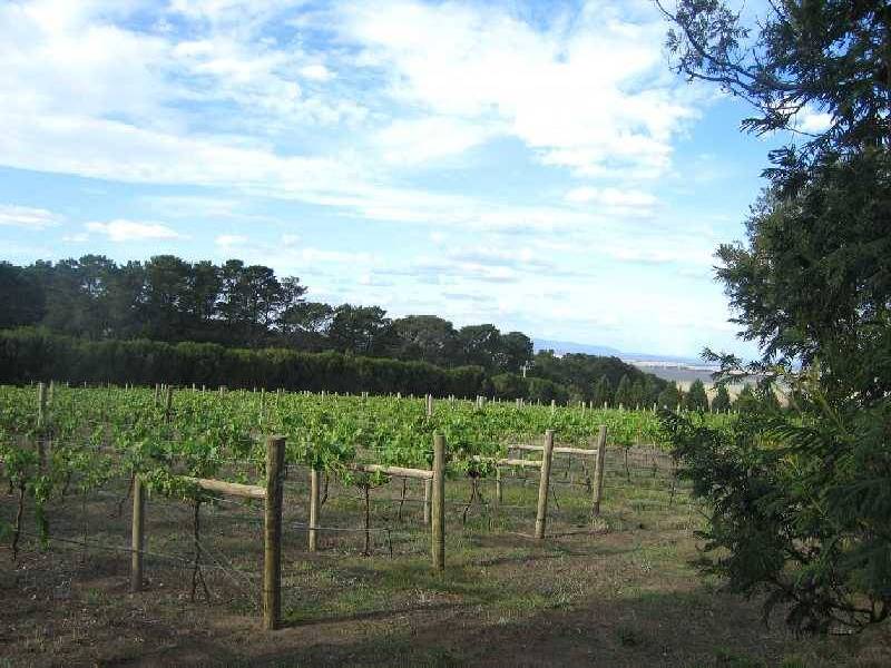 182 Fenton Hill Road, Clarkefield VIC 3430