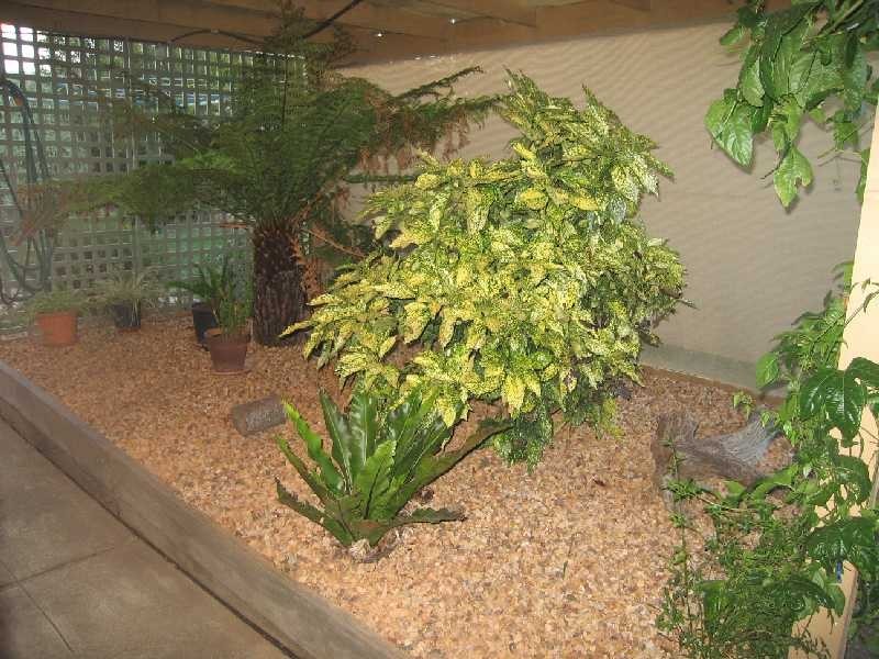 4 Backhaus Avenue, Sunbury VIC 3429