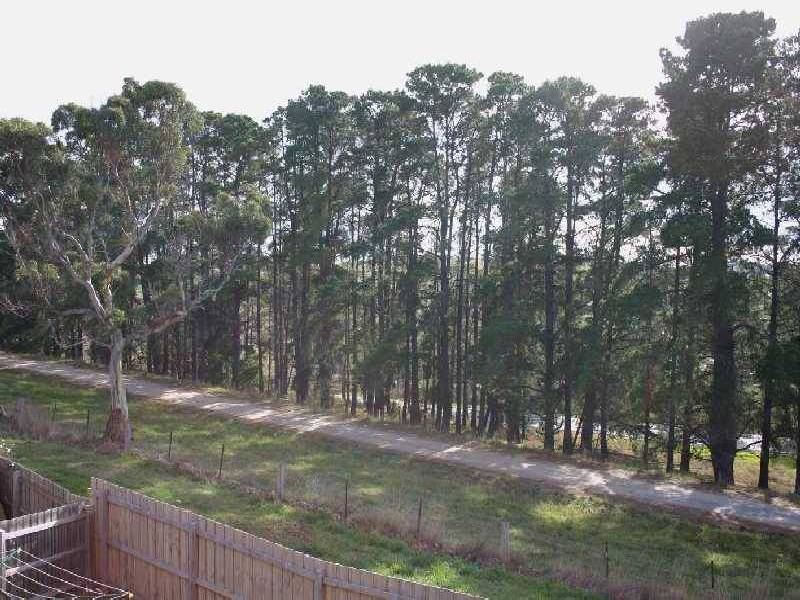 41 Long Drive, Sunbury VIC 3429