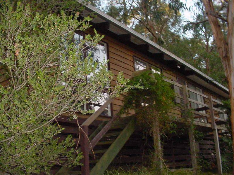 12 ARBOR AVENUE, Selby VIC 3159