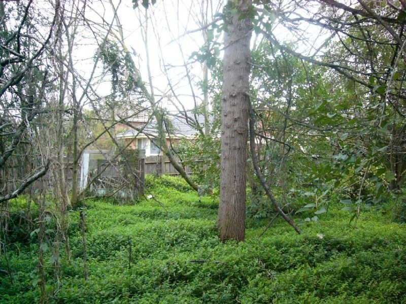 78 SCORESBY ROAD, Bayswater VIC 3153