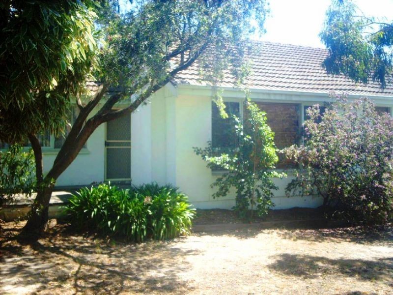 19 MINT STREET, Wantirna VIC 3152