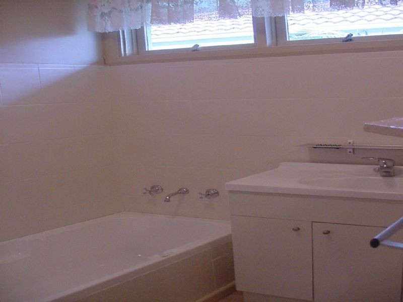 19 MINT STREET, Wantirna VIC 3152