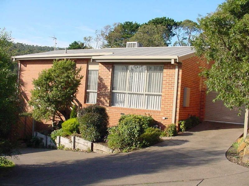 3/55 ALBERT STREET, Upper Ferntree Gully VIC 3156