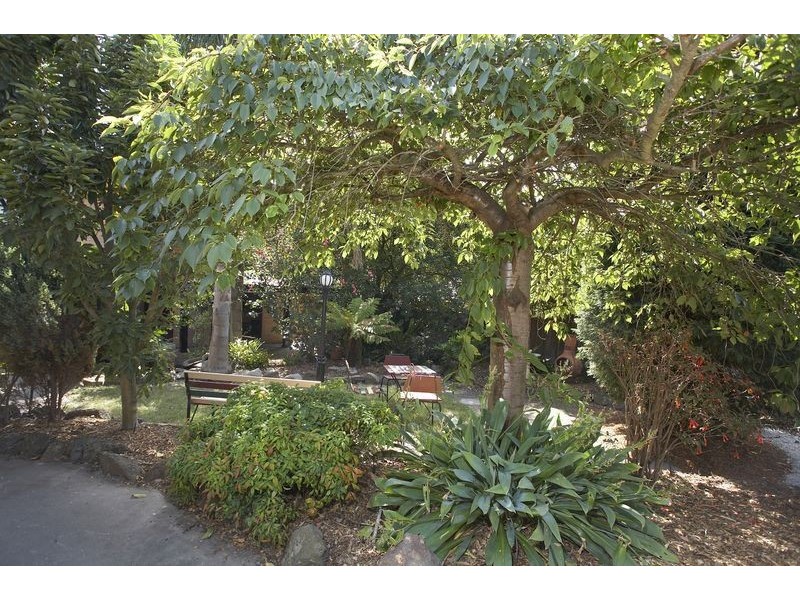 325 Wantirna Road, Wantirna VIC 3152