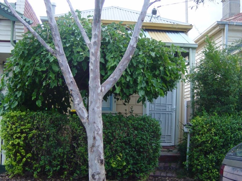 9 Deakin Street, Brunswick East VIC 3057