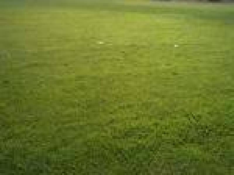 Lot 1809 Gainsborough Place, Craigieburn VIC 3064