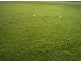 Lot 1054 Tusmore Rise , Craigieburn VIC 3064