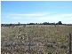1905 Mickleham Road, Mickleham VIC 3064