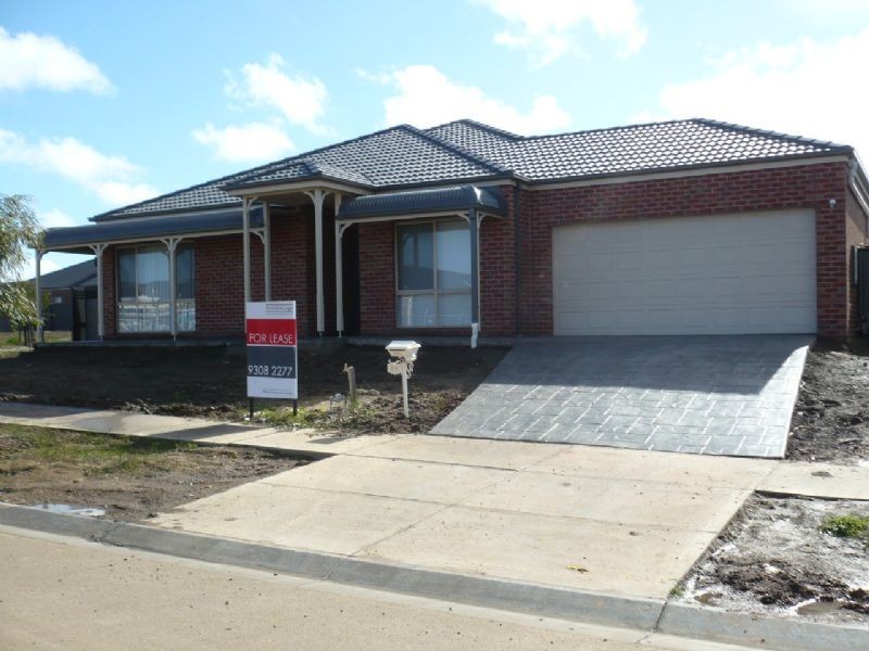56  Northumberland Circuit, Craigieburn VIC 3064