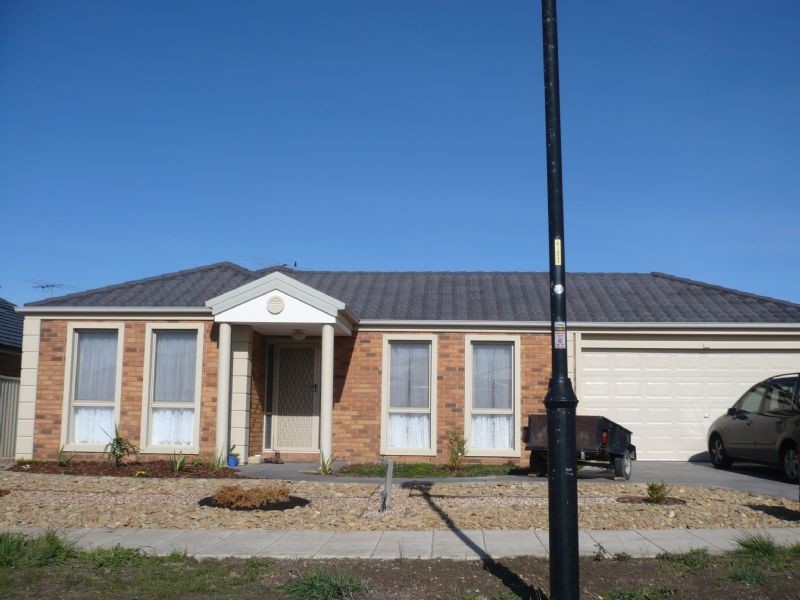 17 Pinevalley Rise, Craigieburn VIC 3064