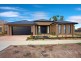 17 Middlesborough Drive, Craigieburn VIC 3064
