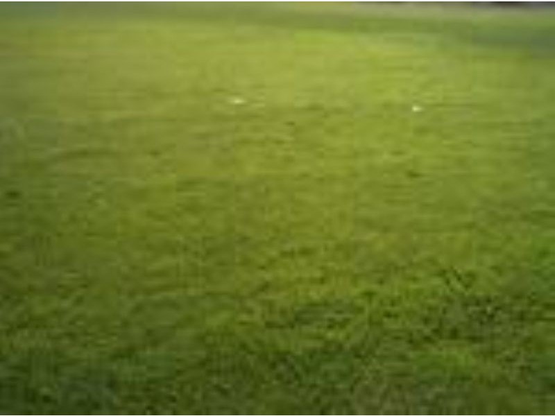 Lot 568  Grosvenor Square, Craigieburn VIC 3064