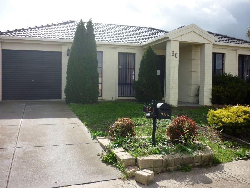 36 Jacaranda Place, Craigieburn VIC 3064